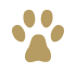 animali